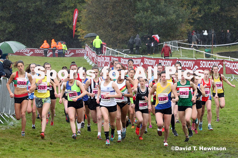 Junior women, National Cross Country Relay Champs., Berry Hill Park, Mansfield.  Photo: David T. Hewitson/Sports for All Pics